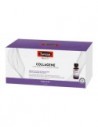 SWISSE COLLAGENE 7FL 30ML