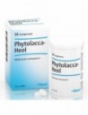 HEEL PHYTOLACCA 50 COMPRESSE